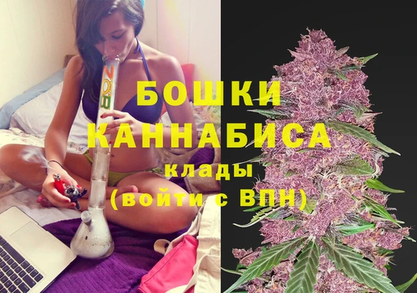 прущая мука Богданович