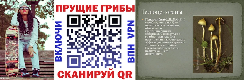 Галлюциногенные грибы ЛСД  Кораблино 